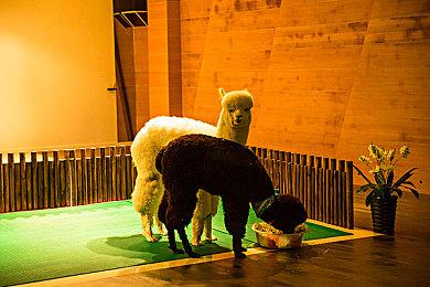 钓鱼冒险游戏《渔帆暗涌》全新DLC“铁岛深渊”正式推出获特别好评